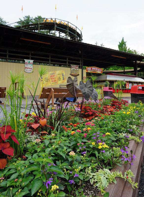 knoebels-5.jpg